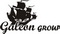 ������ ��� galion